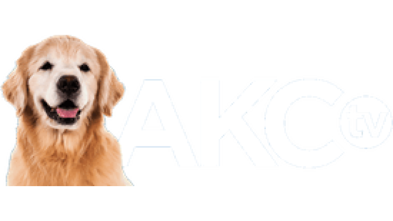 AKC TV