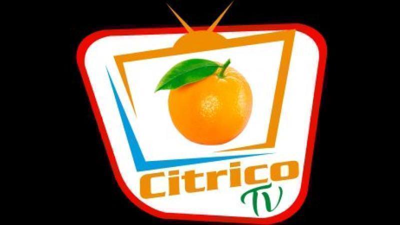 Citrico TV