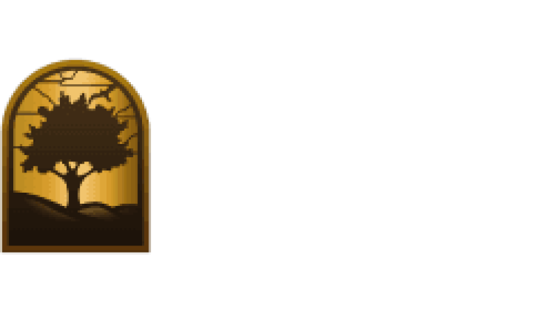 City TV Channel 3/41