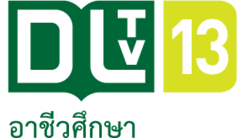 DLTV 13