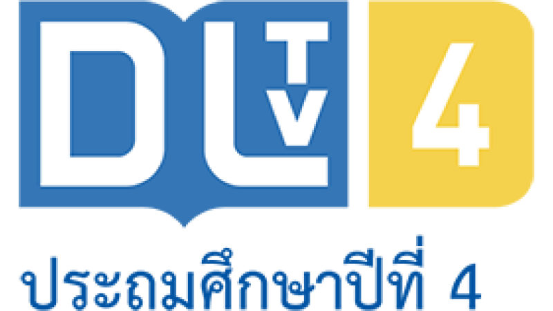 DLTV 4