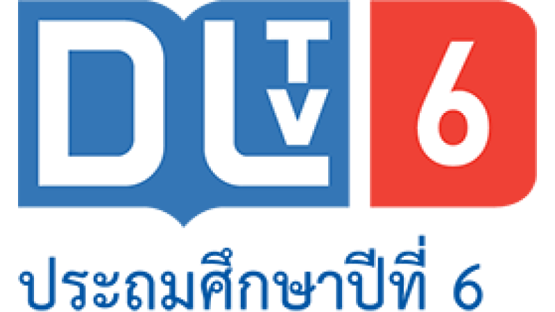 DLTV 6