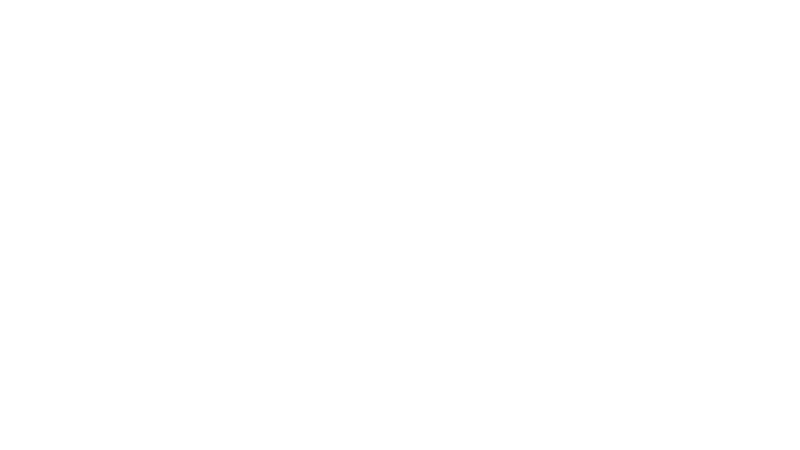 K19