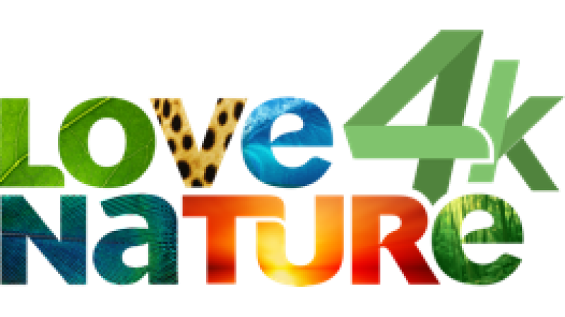 Love Nature 4K