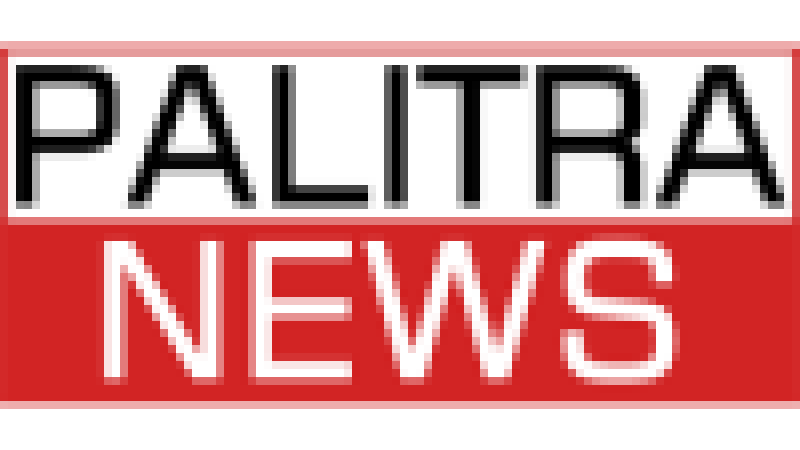 Palitra News