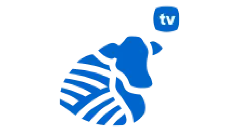 Productiva TV