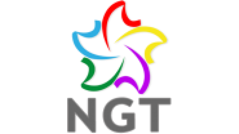 Rede NGT