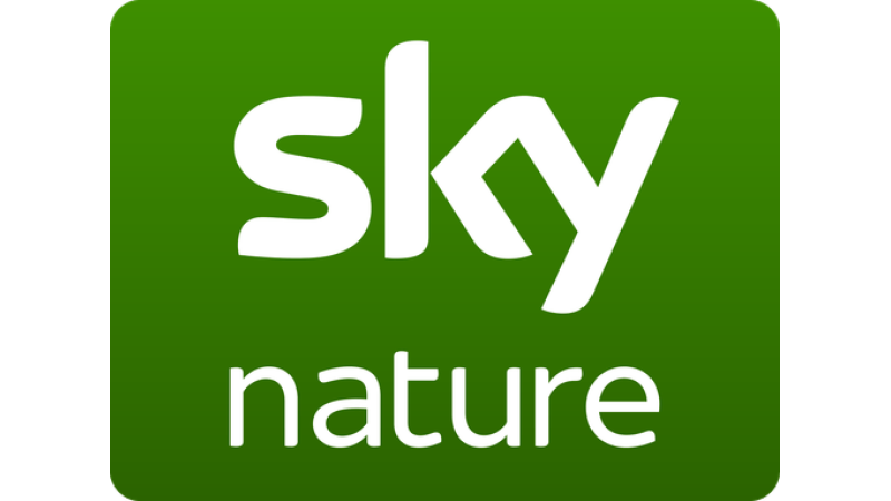 Sky Nature