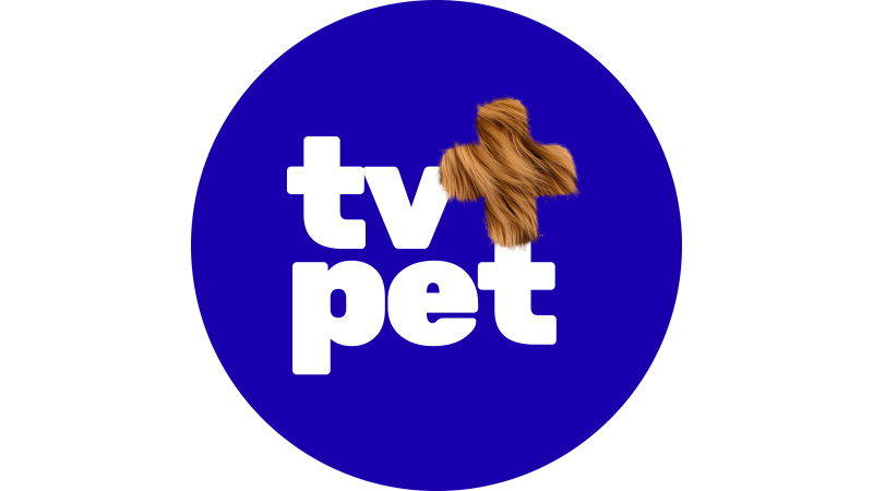 TV+Pet