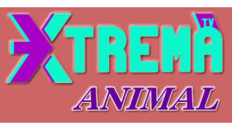Xtrema Animal